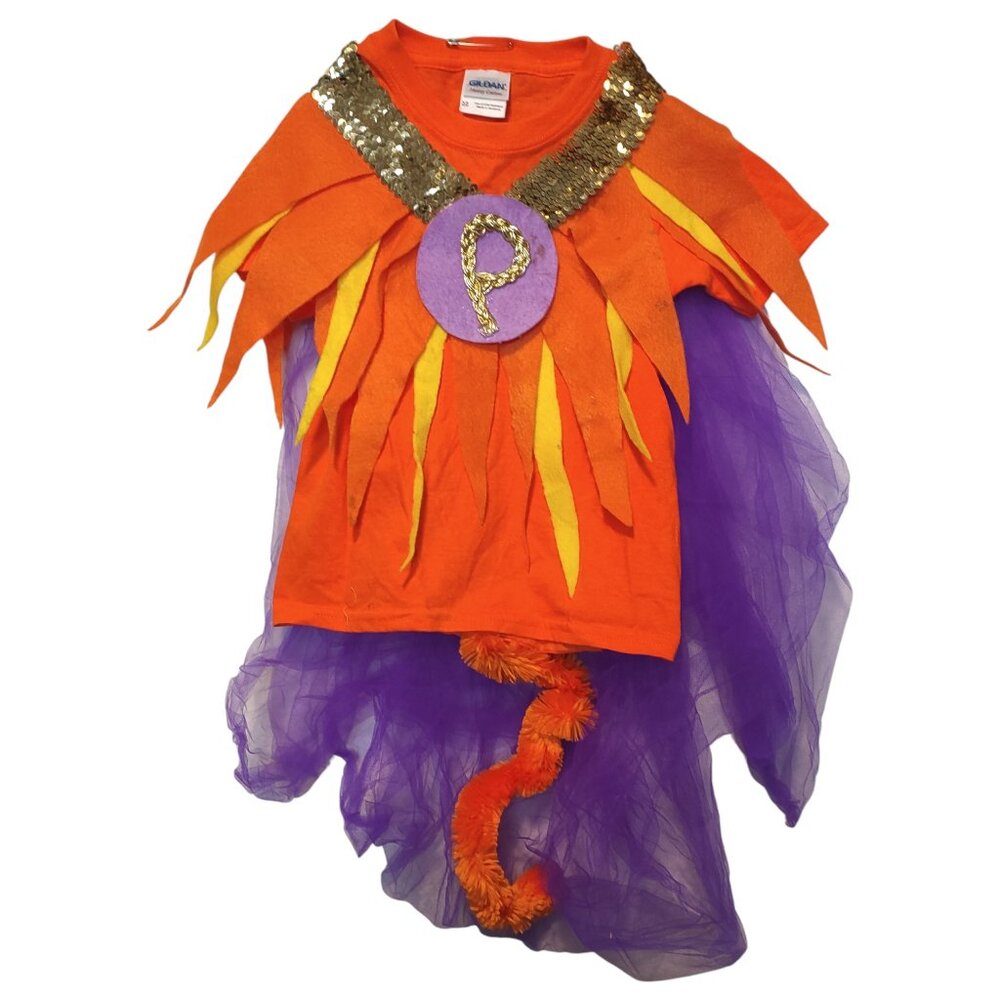 Handmade/Homemade Lion King Girl's Costume Shirt "The Lion Queen" Youth XS